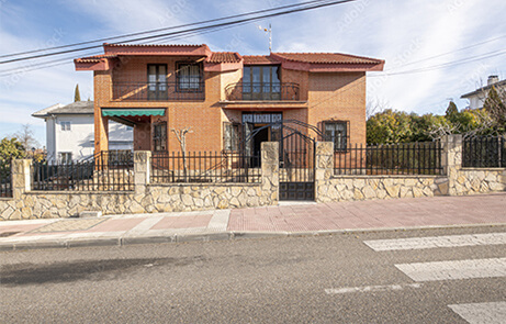 ヴィオレット亀井